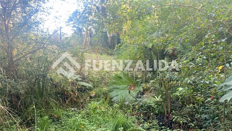 Excelente Parcela Bosque Nativo y Vertiente Puerto Varas