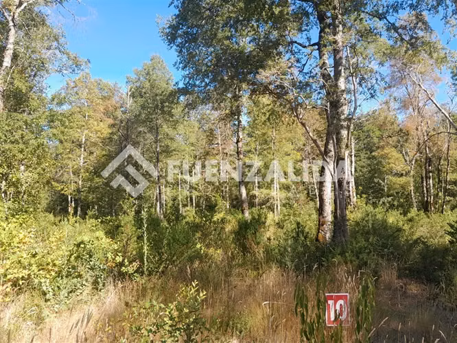 Parcela en venta Sector de Molco - Villarrica - Pucon