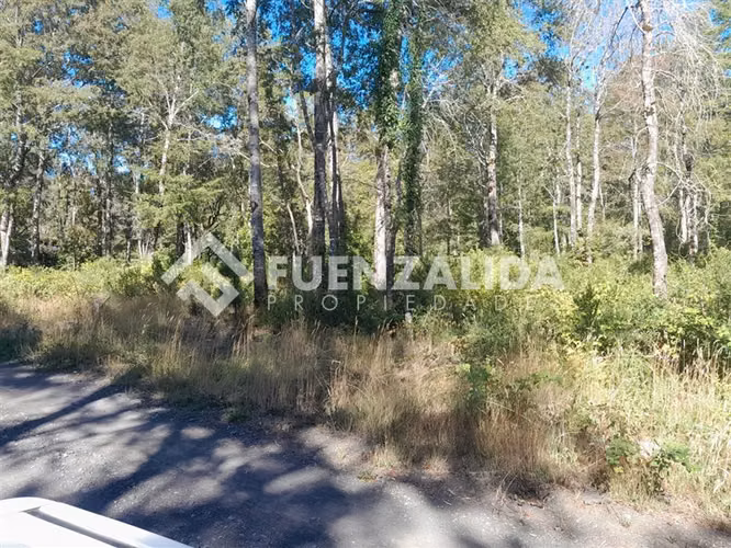Parcela en venta Sector de Molco - Villarrica - Pucon