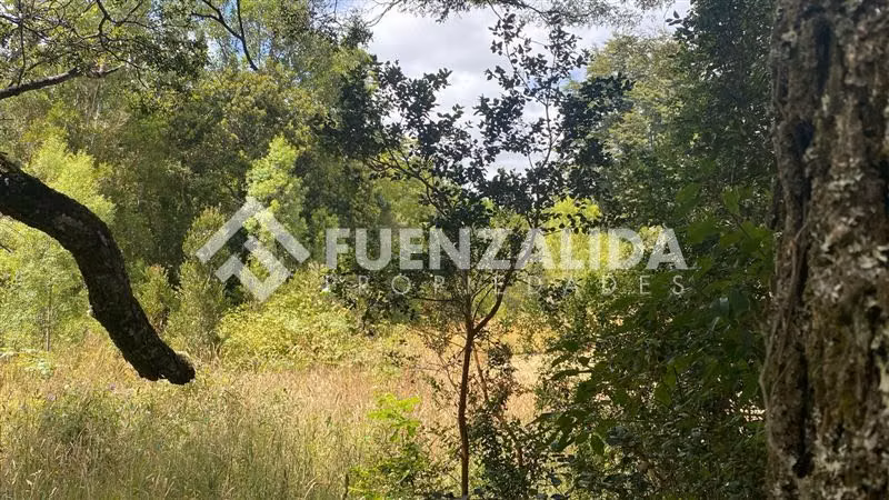 Venta Parcela condominio sendero acceso a rio en Loncotoro