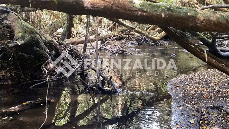 Venta Parcela condominio sendero acceso a rio en Loncotoro