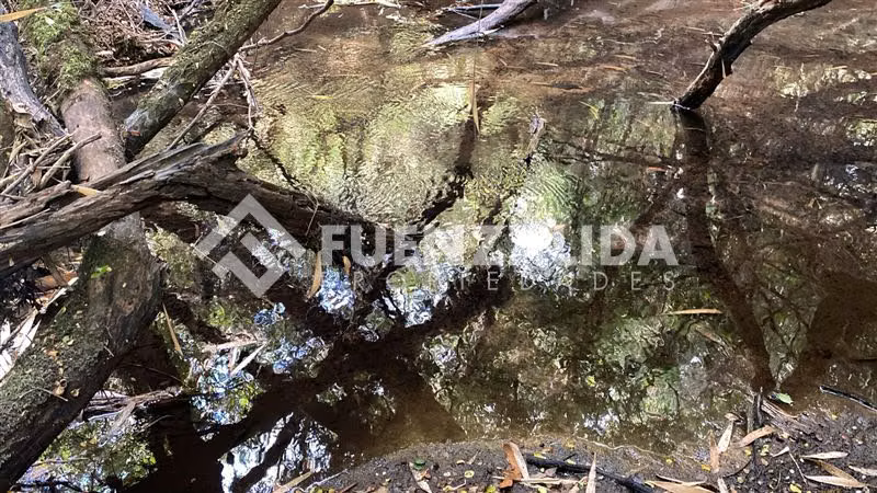 Venta Parcela condominio sendero acceso a rio en Loncotoro