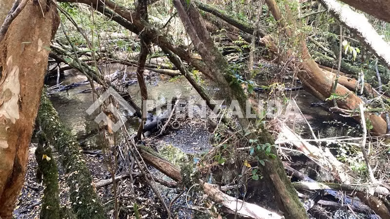 Venta Parcela condominio sendero acceso a rio en Loncotoro