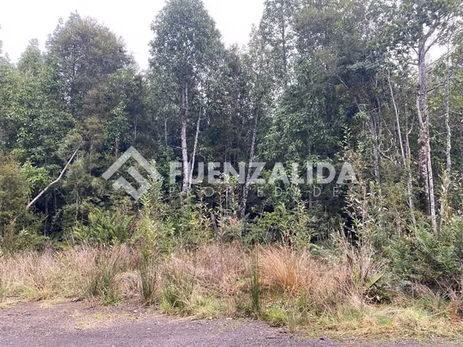 Parcela en venta en Puerto Varas