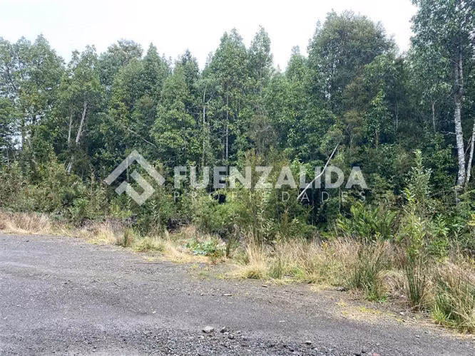 Parcela en venta en Puerto Varas