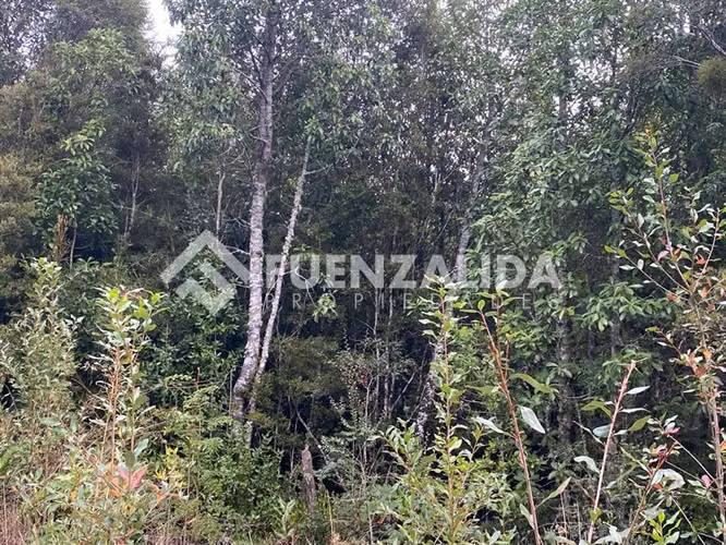 Parcela en venta en Puerto Varas