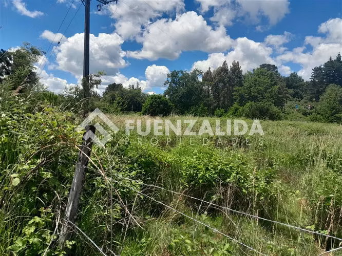 Parcela en venta en Sector Puente Allipen, Ruta 199
