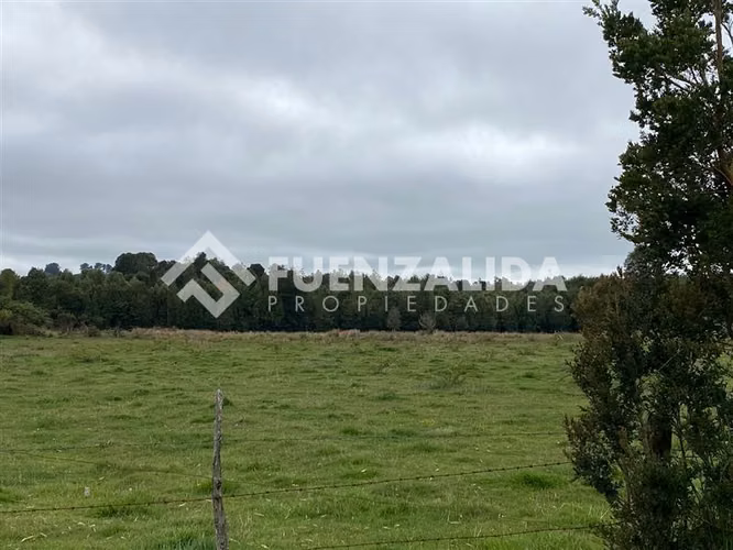 Venta Parcela de 1,24 hectáreas en Loncotoro - Imagen 10