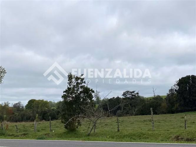 Venta Parcela de 1,24 hectáreas en Loncotoro - Imagen 5