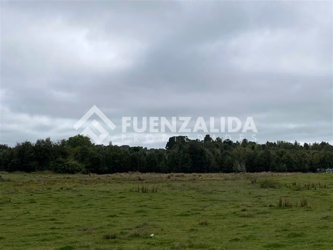 Venta Parcela de 1,24 hectáreas en Loncotoro - Imagen 13