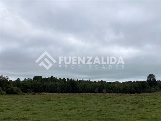 Venta Parcela de 1,24 hectáreas en Loncotoro - Imagen 12