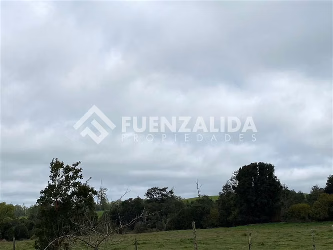 Venta Parcela de 1,24 hectáreas en Loncotoro - Imagen 3