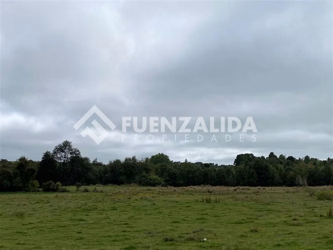 Venta Parcela de 1,24 hectáreas en Loncotoro - Imagen 17