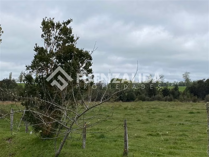 Venta Parcela de 1,24 hectáreas en Loncotoro - Imagen 15