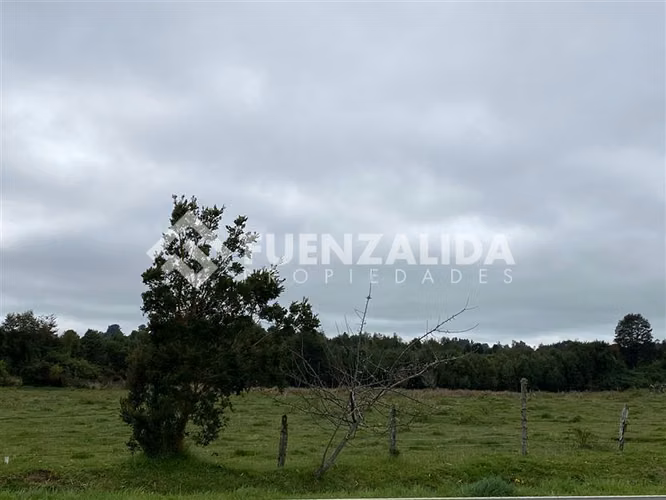 Venta Parcela de 1,24 hectáreas en Loncotoro - Imagen 7