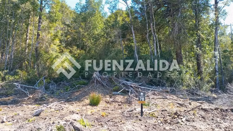 Parcela en venta en Parque rio Tambor Maullin