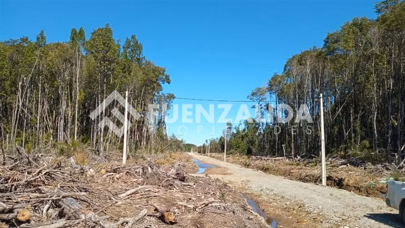 Parcela en venta en Parque rio Tambor Maullin