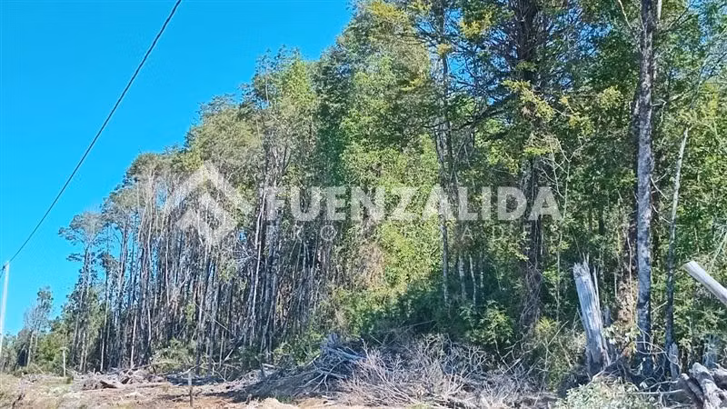 Parcela en venta en Parque rio Tambor Maullin