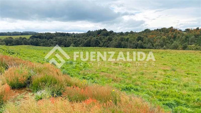 Venta excelente Oferta terrenos Los Muermos