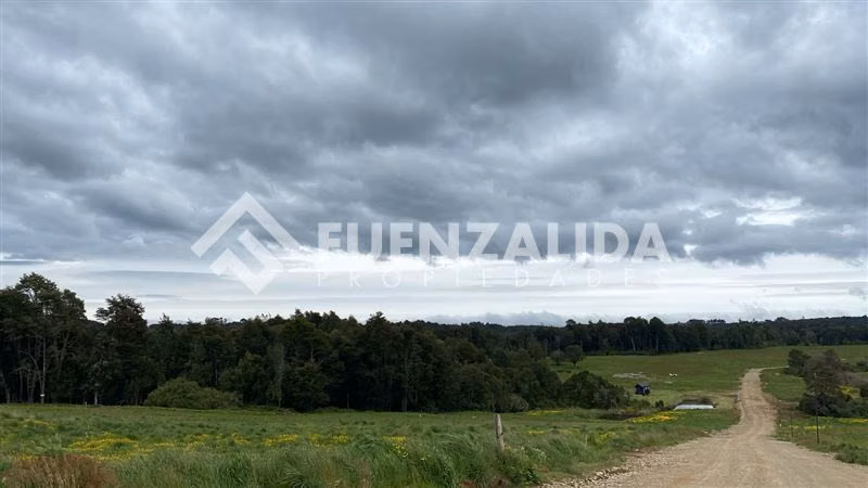 Venta excelente Oferta terrenos Los Muermos