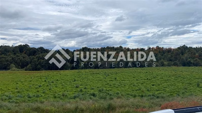Venta excelente Oferta terrenos Los Muermos