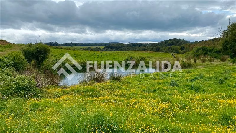 Venta excelente Oferta terrenos Los Muermos