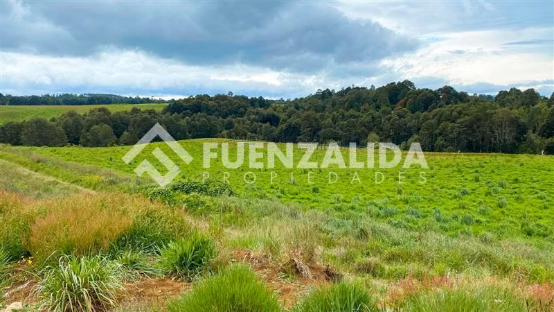 Venta excelente Oferta terrenos Los Muermos