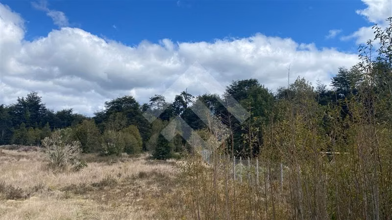 Vendemos Parcela en sector Los Coigues en Puerto Varas