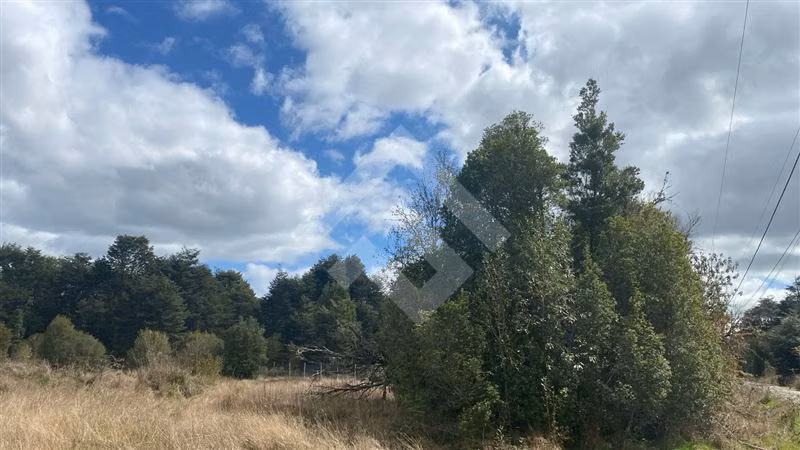 Vendemos Parcela en sector Los Coigues en Puerto Varas