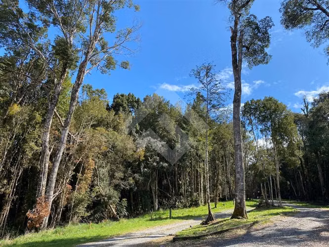 Venta de Parcela Camino Ensenada Puerto Varas