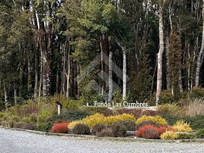 Venta de Parcela Camino Ensenada Puerto Varas