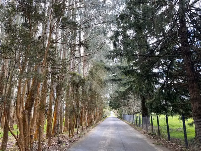 Venta de Parcela Camino Ensenada Puerto Varas