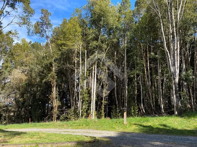 Venta de Parcela Camino Ensenada Puerto Varas