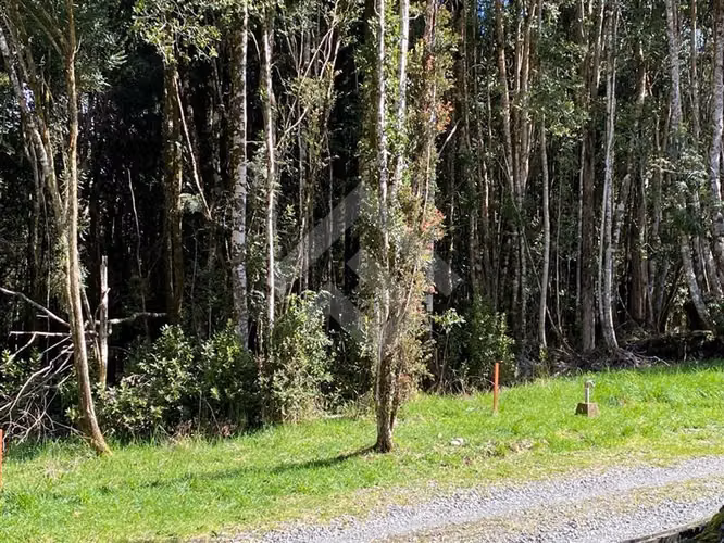 Venta de Parcela Camino Ensenada Puerto Varas