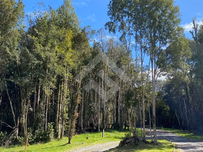 Venta de Parcela Camino Ensenada Puerto Varas