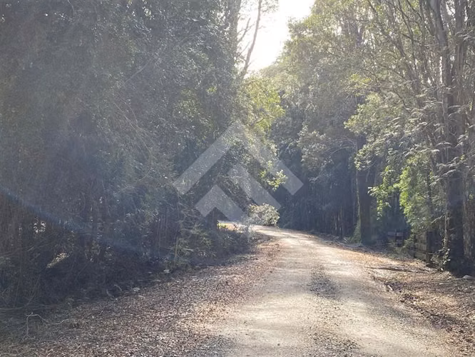 Venta de Parcela Camino Ensenada Puerto Varas