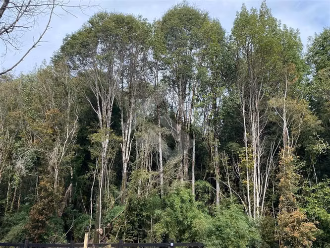 Parcela en venta Fundo Las Cumbre Puerto Varas