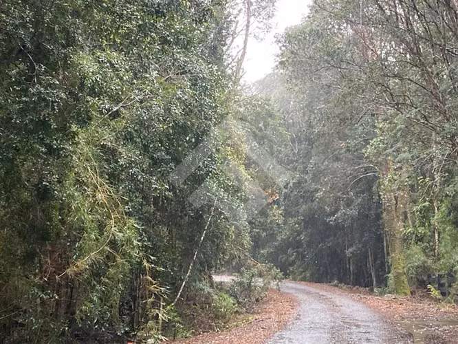 Parcela en venta Fundo Las Cumbre Puerto Varas