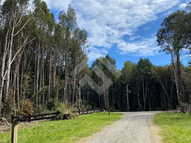 Parcela en venta Fundo Las Cumbre Puerto Varas