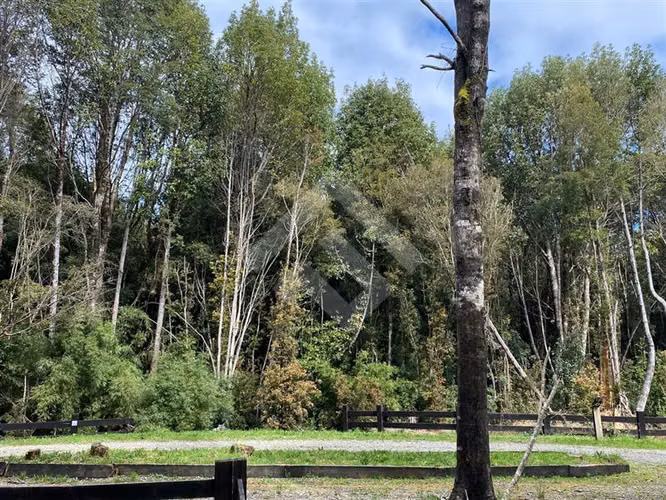 Parcela Se Vende Fundo las Cumbres Puerto Varas