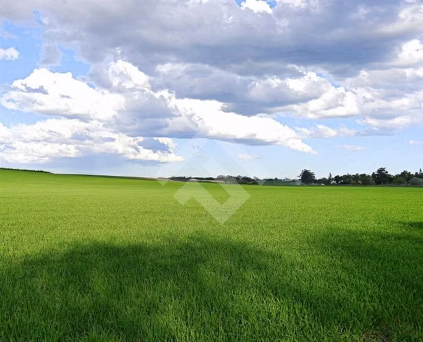 Campos en venta en la Región De Los Lagos