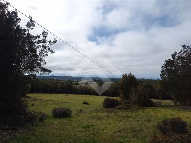 Vendemos Parcela de 2Ha con casa en el sector Dao, Calbuco