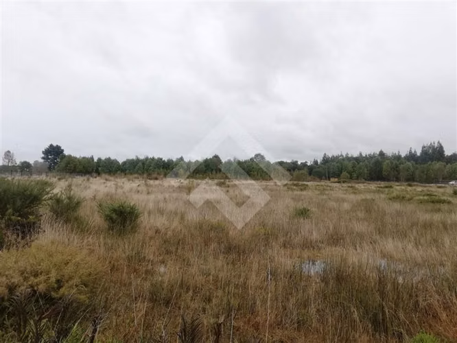 Parcela en venta en Club de campo residencial Puerto Varas - Imagen 5