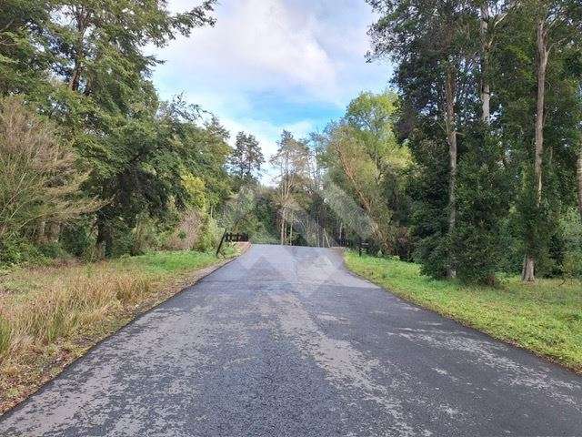 Vendemos Parcela en Frutillar con acceso directo Ruta 5 Sur