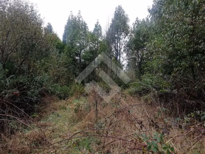 Parcela en venta en Club de Campo Residencial Puerto Varas