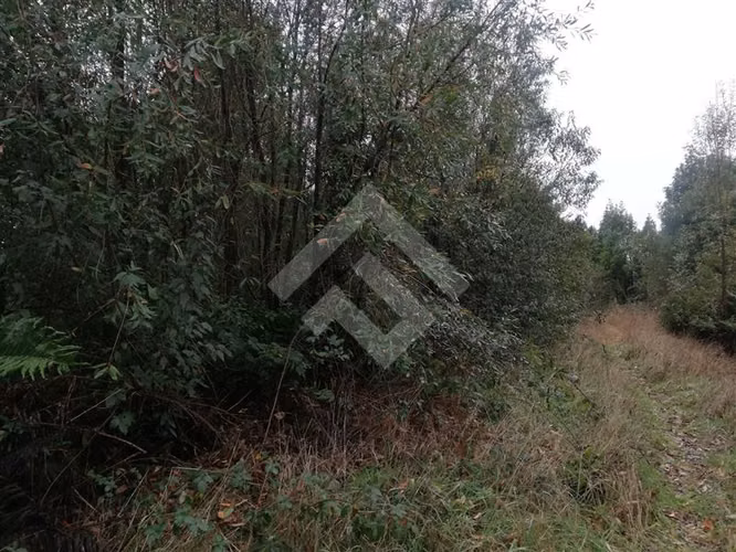 Parcela en venta en Club de Campo Residencial Puerto Varas