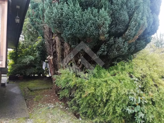Local Comercial en venta con 15 cabañas en Puerto Montt