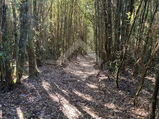 Vendemos Parcelas en Condominio Marina Panitao