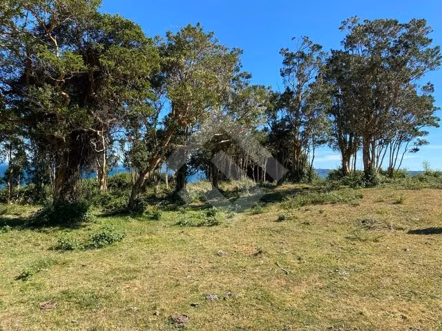 Vendemos Parcelas en Condominio Marina Panitao