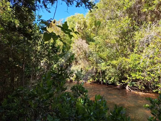Parcela en venta en Los Muermos